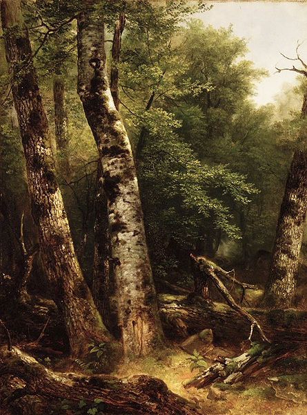 Landscape (Birch and Oaks)